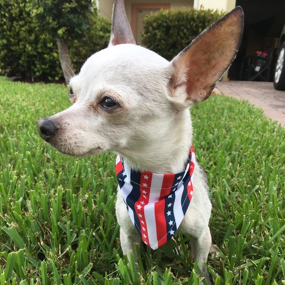 Meet your Posher, Cmr - Picture 1 of 1